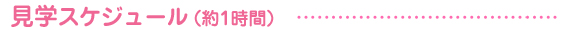 見学スケジュール